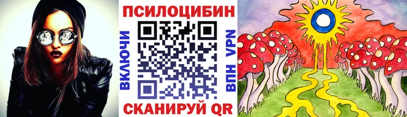 закладки  Туапсе  Галлюциногенные грибы Psilocybe 